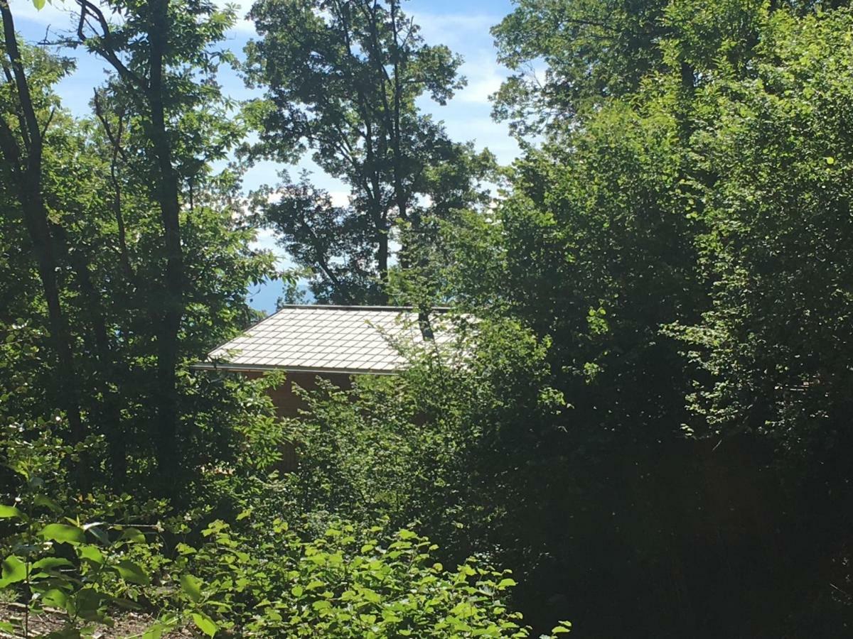 Villa Rifugio Nel Bosco Astano Exterior foto